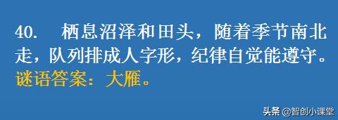 一次有趣的猜字谜游戏,20个猜字谜游戏