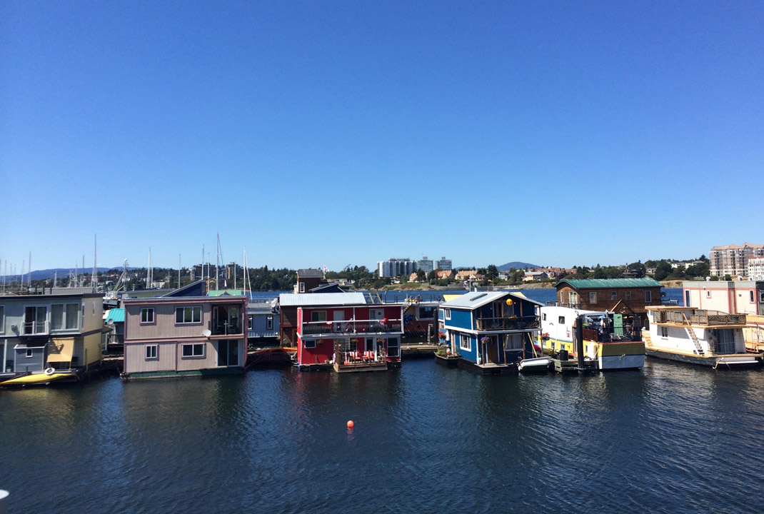 中国大豆进口情况新闻,中国进口大豆消息