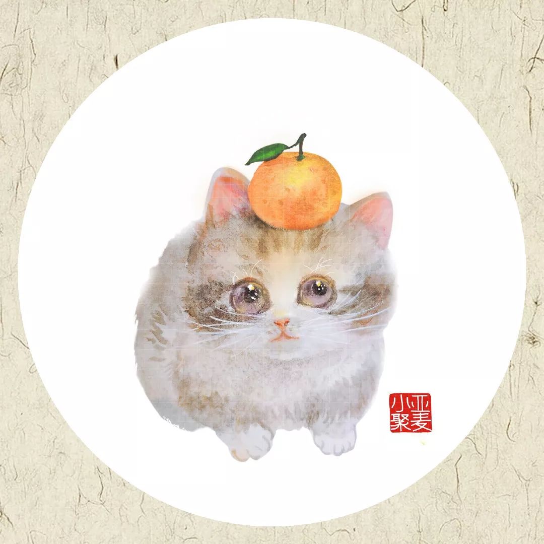 可爱的橘猫插画,一组可爱的治愈系猫咪插画