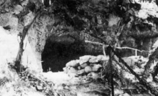 *世友许**之子许光,患癌后向医院提要求:不用进口药,不做过度治疗