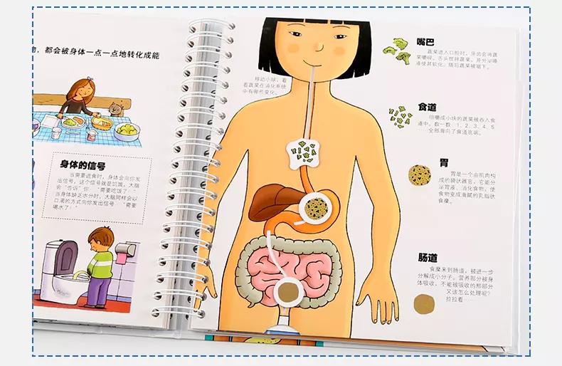 儿童性教育如何讲解,怎么进行儿童性教育