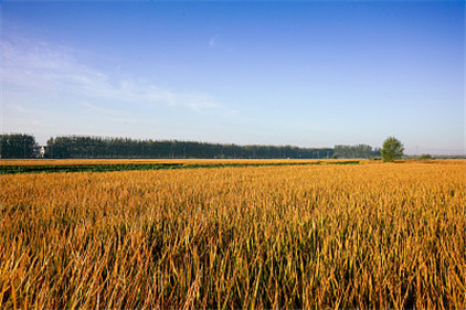 江苏人离土不离乡？苏商为什么以坐商著称？赵旭州评江苏风采