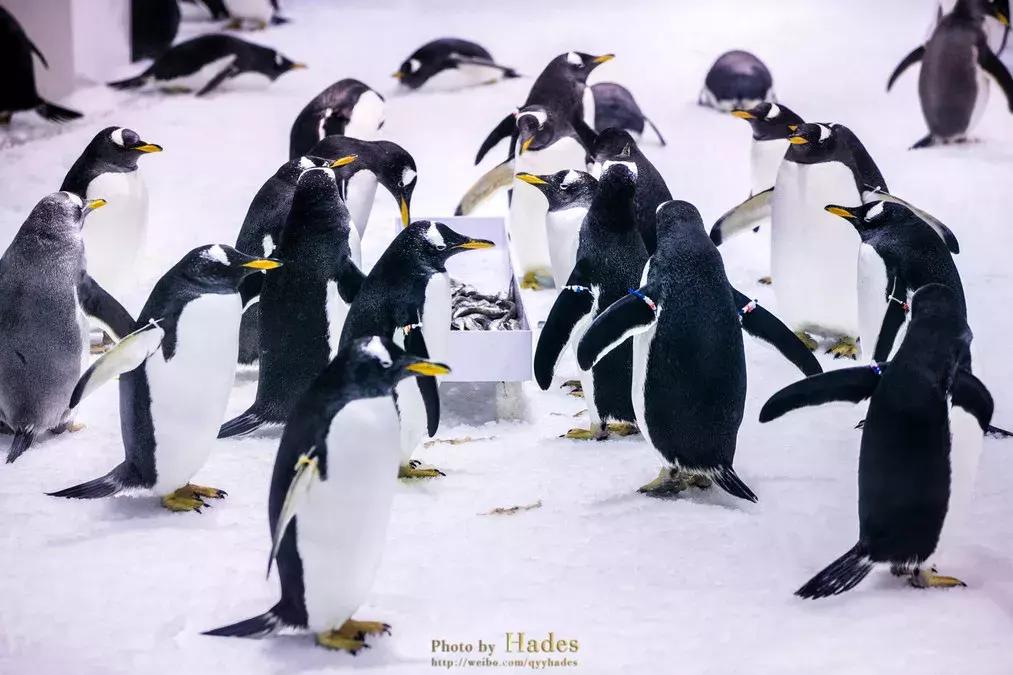 这个夏日25°C的宝藏城市美炸了！海岛、万国建筑、叮叮车..想去