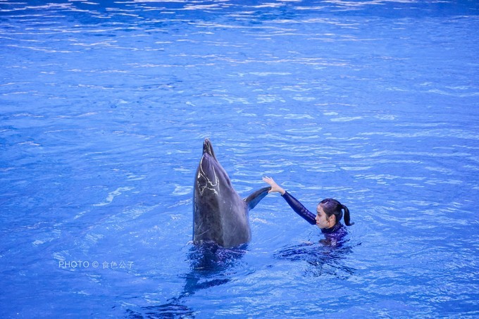 珠海横琴除了长隆还有什么东西玩,横琴有哪些景点可以玩儿