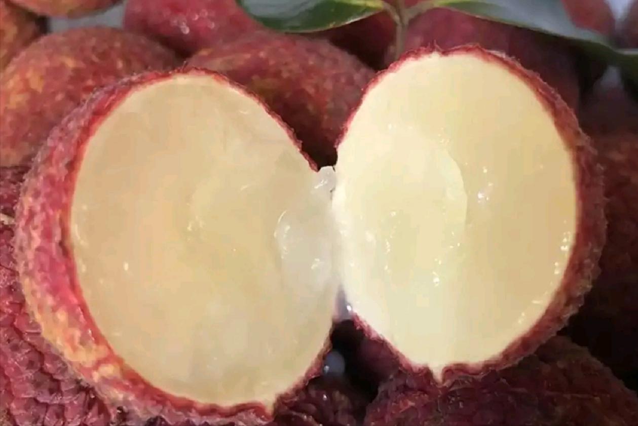 荔枝降价原因,没有核的荔枝多少钱一斤