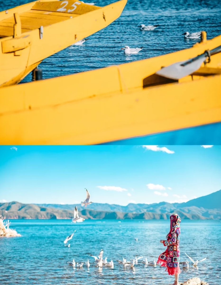 金花旅游攻略自由行,金花春节旅游攻略