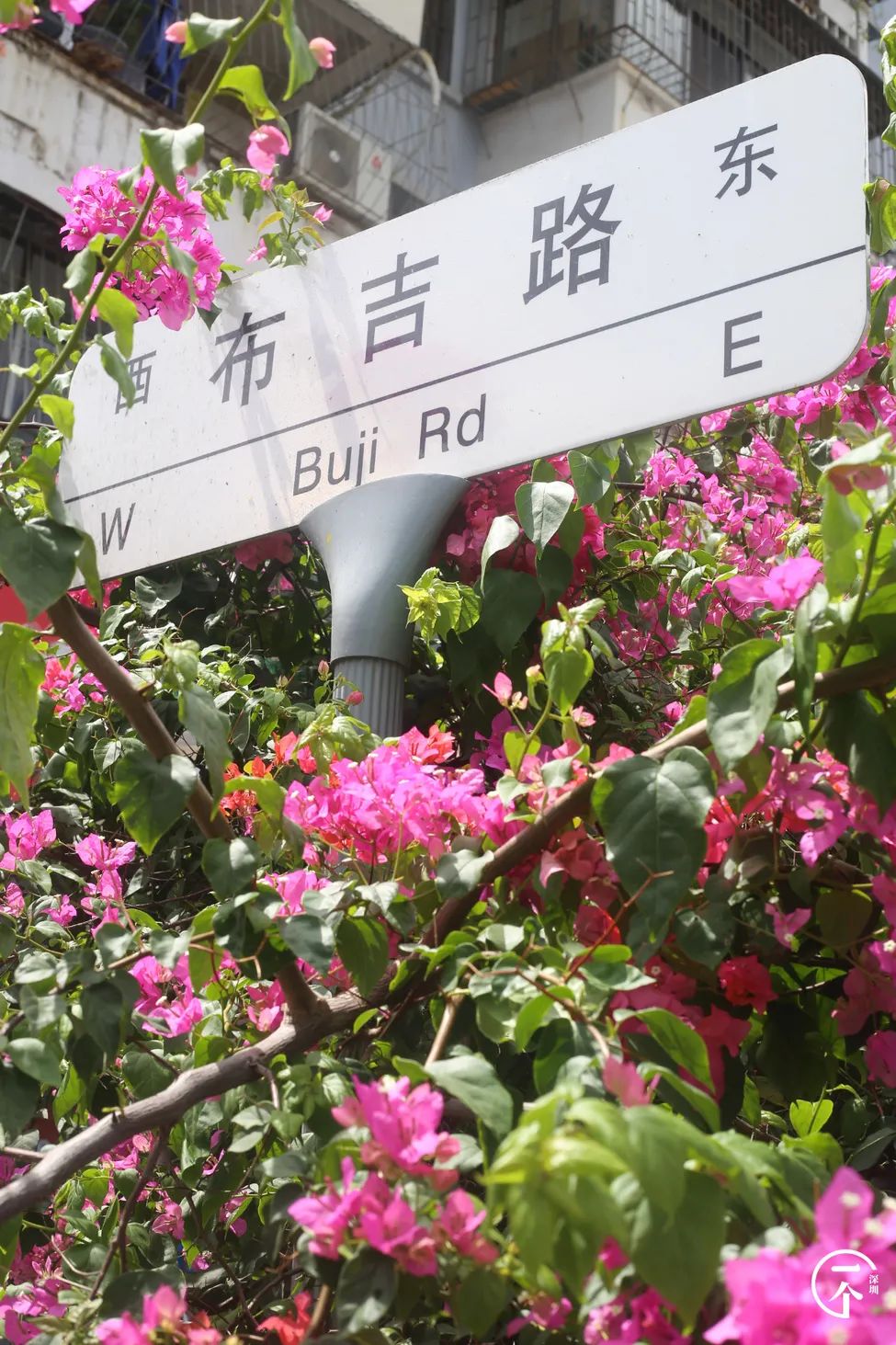 布吉哪里的房租最便宜,布吉房租为什么便宜