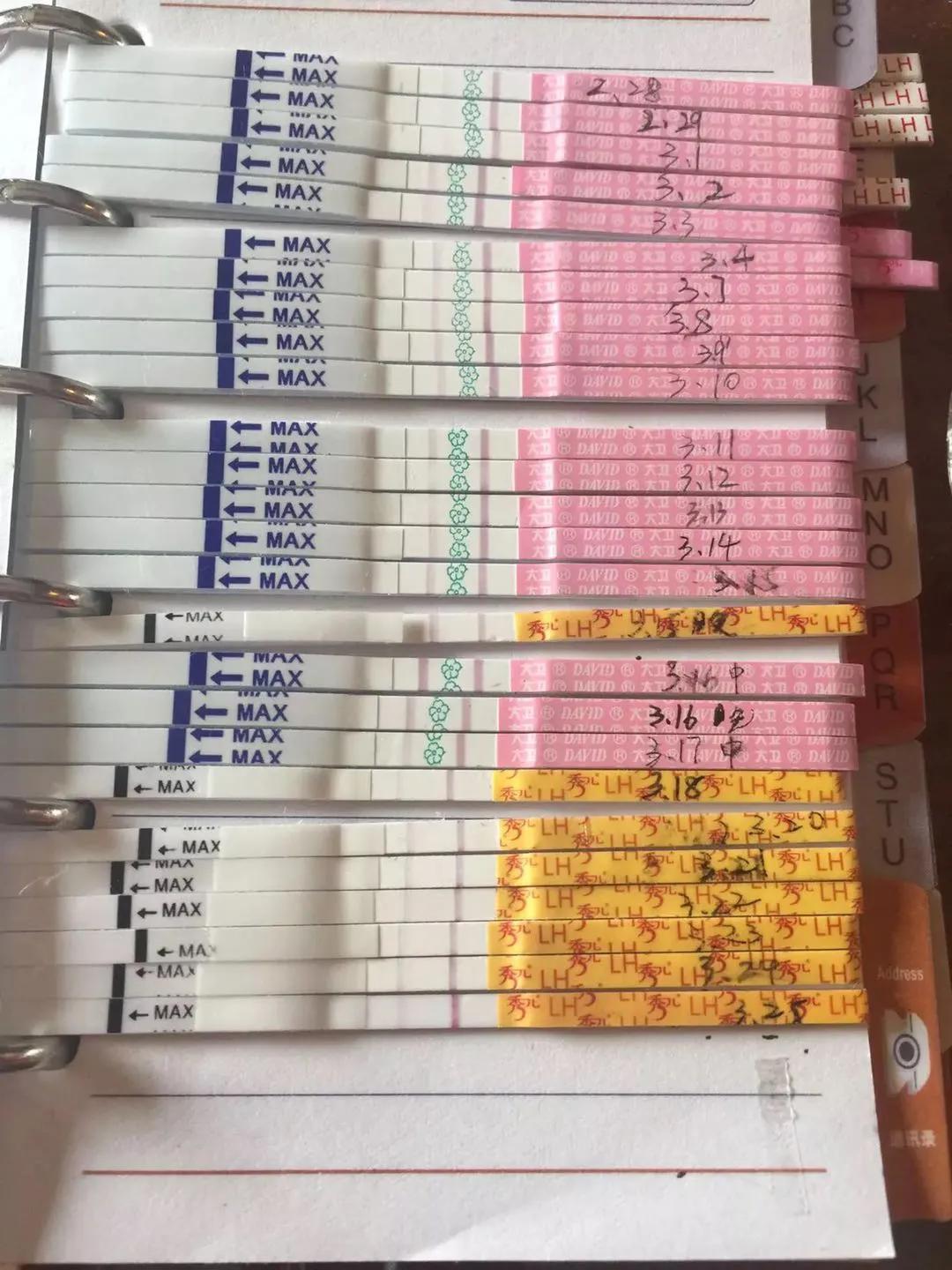 当取卵针戳进我的卵巢时，丈夫在看片取精|成为母亲