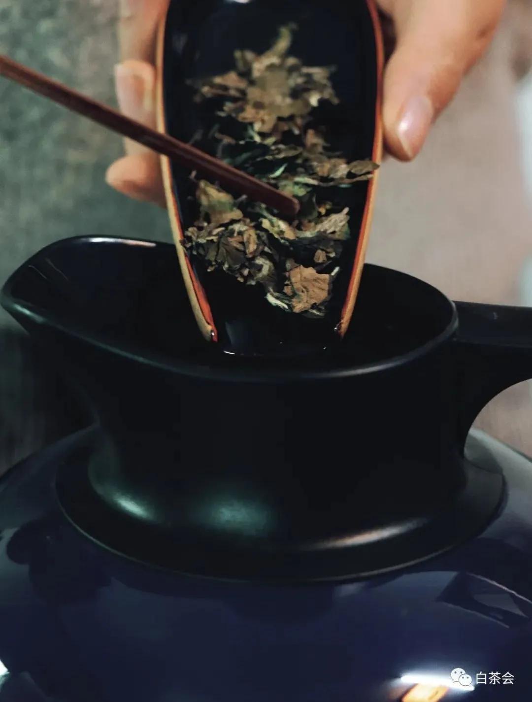 春节在家闷泡老白茶,夏天喝白茶的十大好处