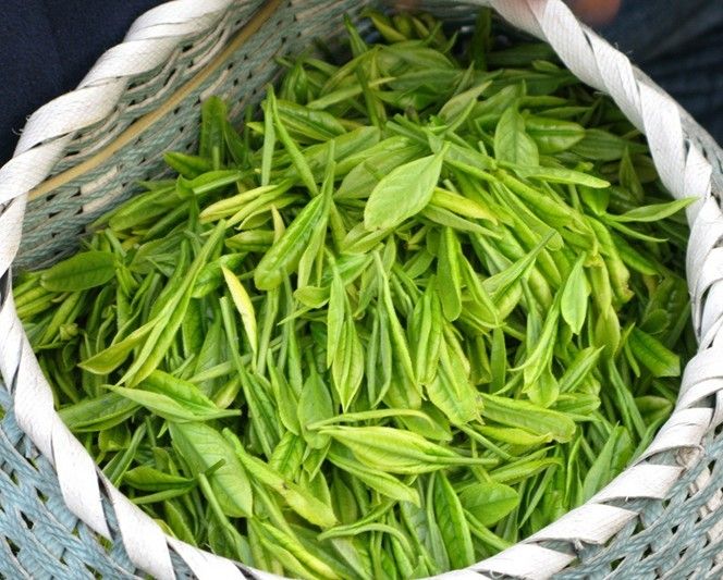 茶叶新零售行业现状,茶叶新零售行业现状如何