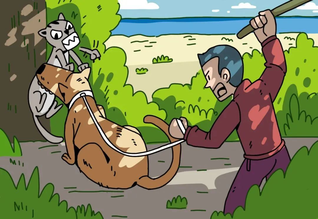 观往知来的含义,一封寄到西沙的信