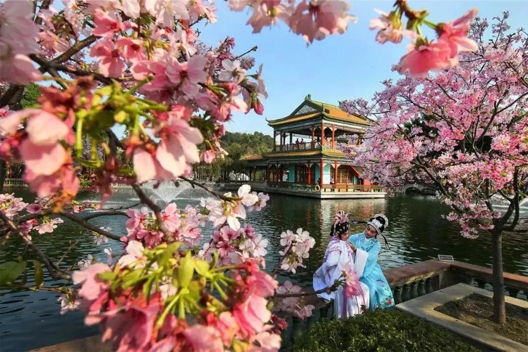 宜居、宜业、宜游......番禺，来过的都说好！