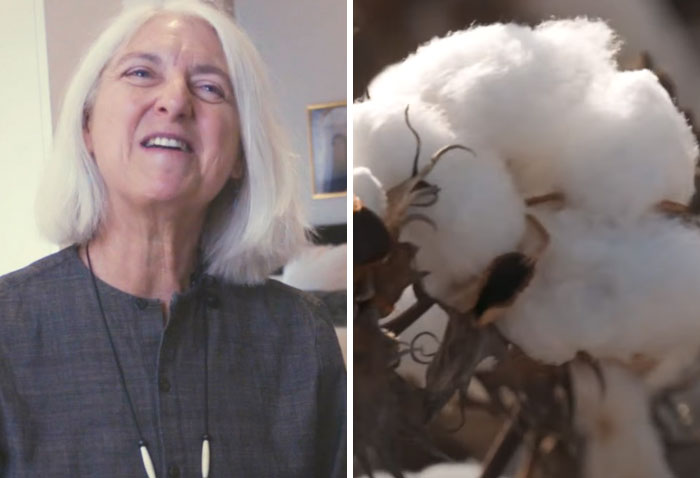 轰动全世界的奇葩发明,7个让你意想不到的发明