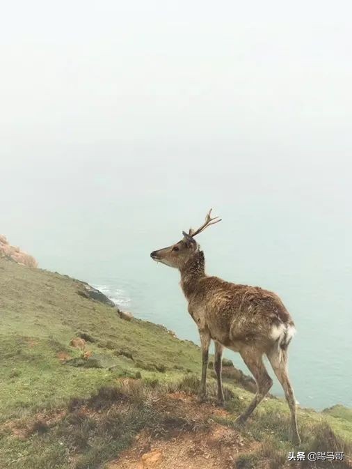 我向往的生活是什么样子短片,我向往的生活是怎么样的