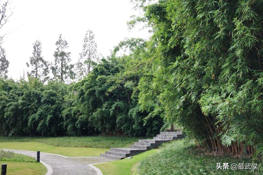 美了!宜居水岸金江明珠段秋日美景来袭