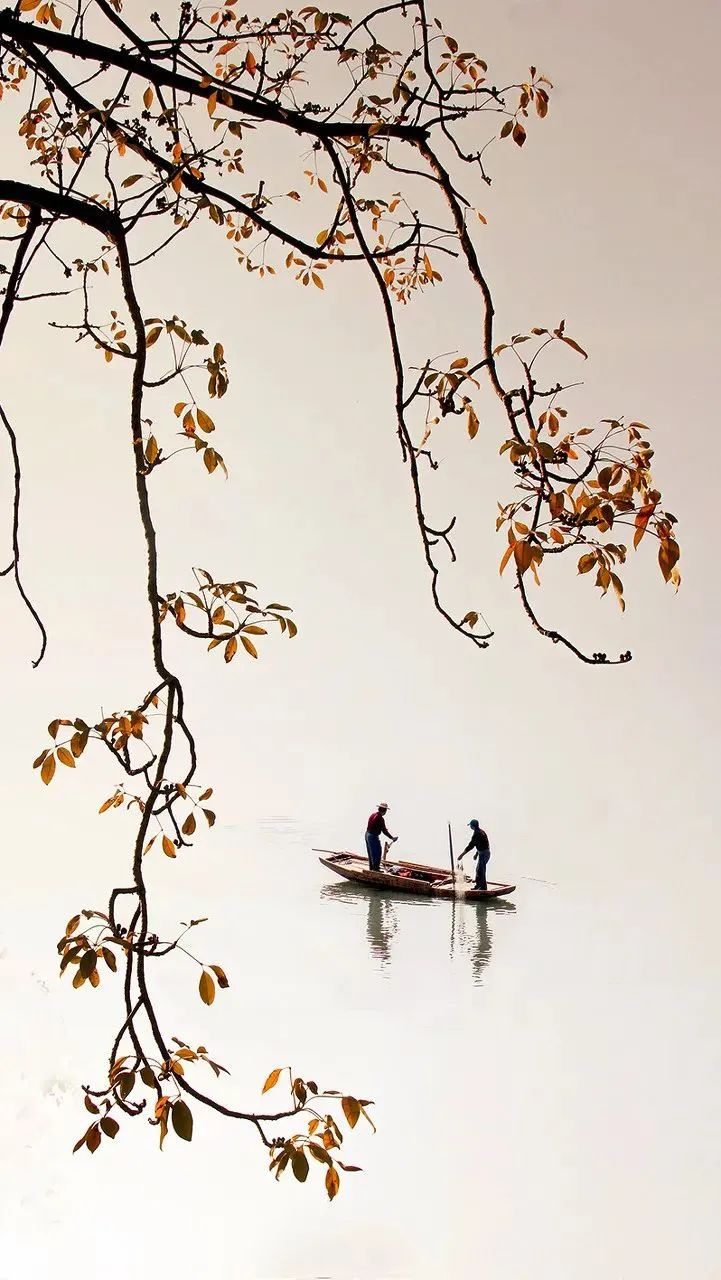 逐梦韶关:粤北这方山水,如此多情!怎可不来?