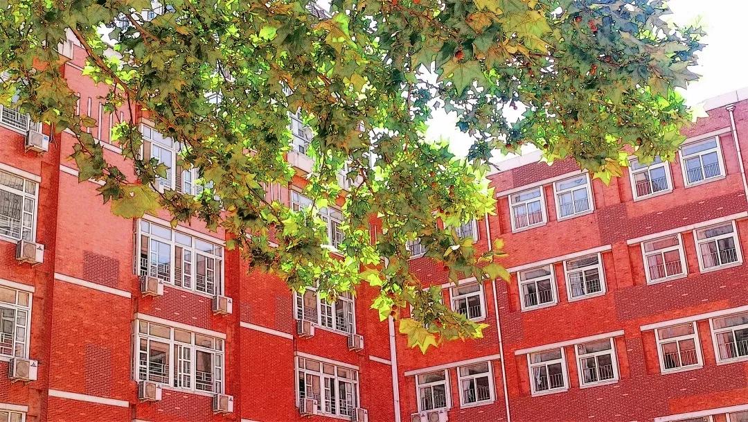 天津高级中学,天津市第二南开中学录取分数线