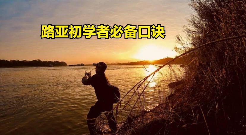 路亚初学者必备口诀，让新手少走弯路