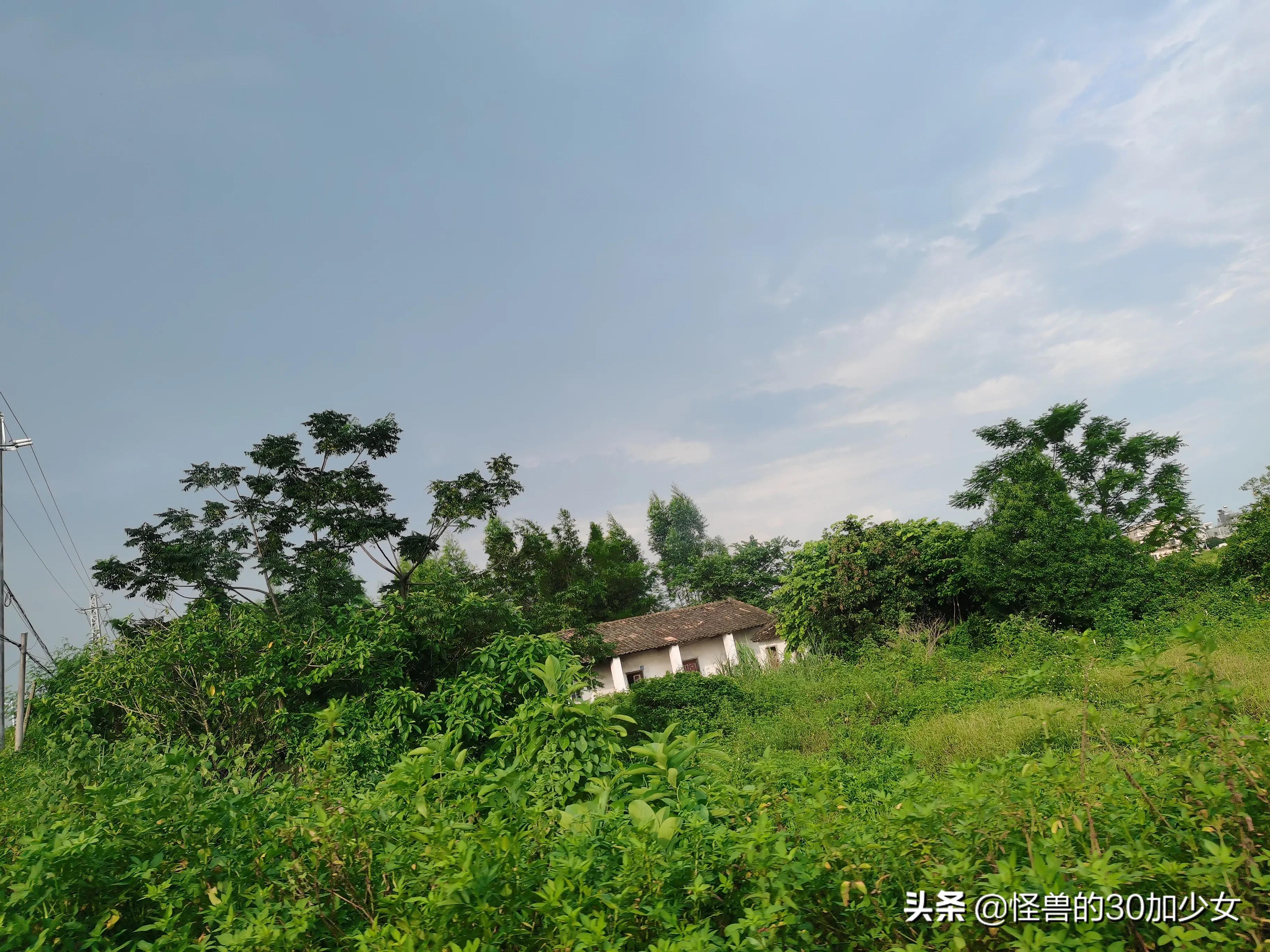 飘过，那一年，找工作的一个小故事