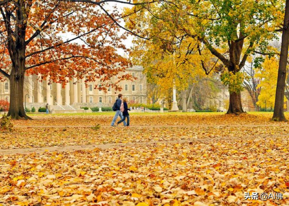 美国康奈尔大学校园风景,美国校园美景