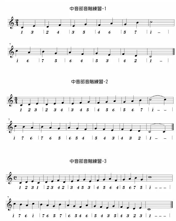 半音阶口琴教学入门,口琴入门基础教学