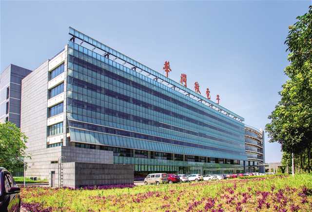 重庆半导体公司有那些呢？能否解决芯片问题呢？