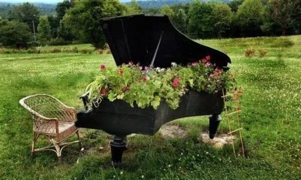 最有意境的照片关于钢琴,全球最美100张照片