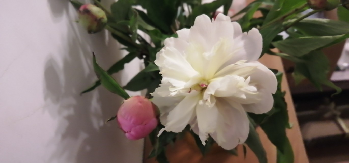 万州招聘监理,万州最近招聘网