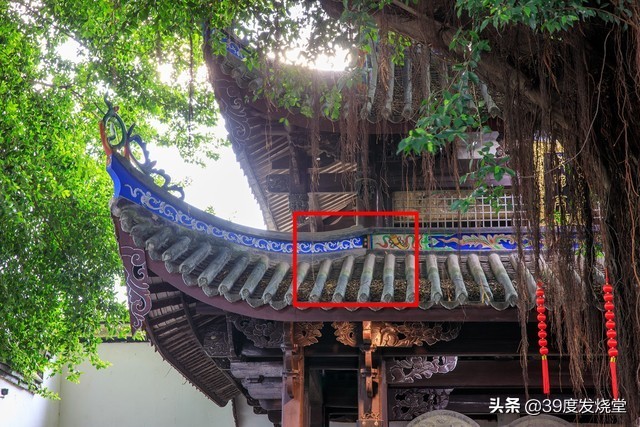 佳能大三元24-105,佳能大三元rf24