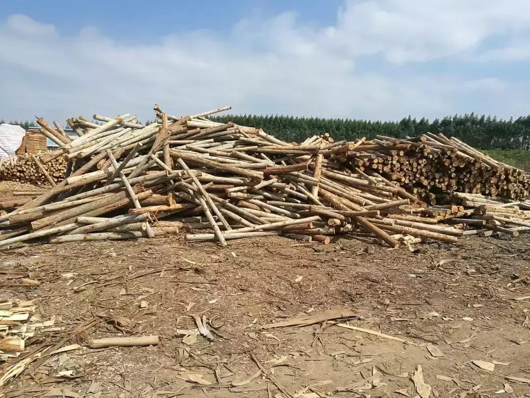 追恒大，赶万科，新的一年板材行业要敢于对赊销说NO！