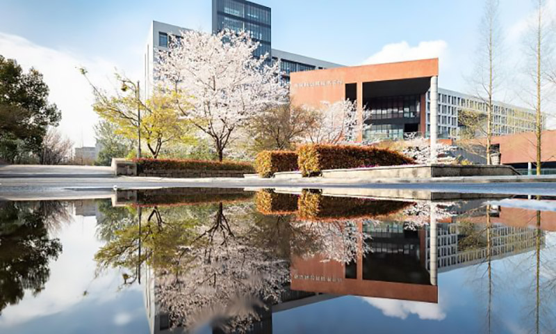 90后放弃城市打工回农村种果园,90后放弃百万收入