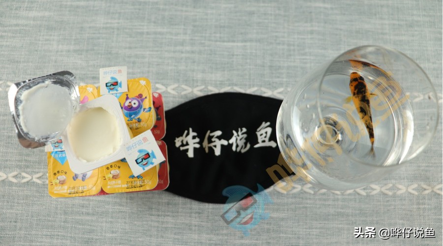 鱼缸里倒酸奶有用吗,鱼缸里倒饮料会怎样