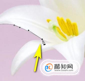 ps手机版基础教程新手入门,有哪些比较好的ps教程