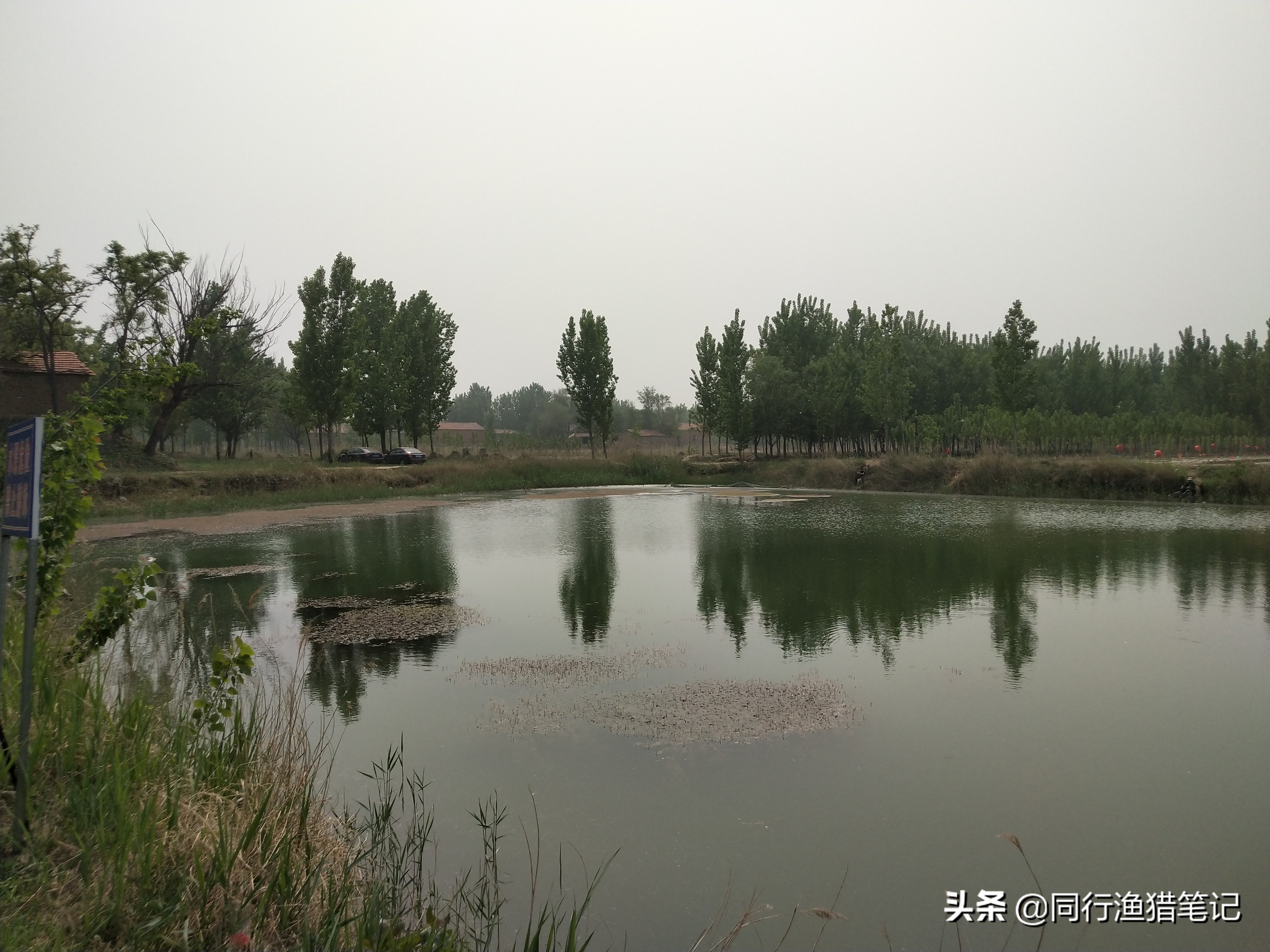 肥水塘如何钓浮,溶氧量低鱼会怎么样