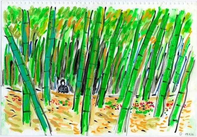 黑泽明经典电影,黑泽明电影解说