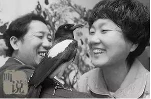 天津哏儿都的好去处,天津哏儿都