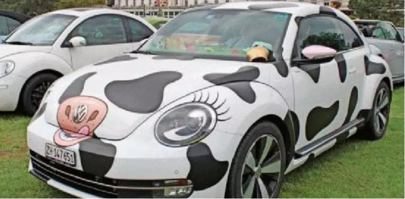 车友会不可告人的秘密,车友会有啥套路吗