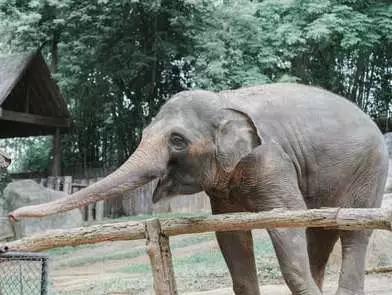 越南桂林自驾游攻略,广西中越边境游攻略