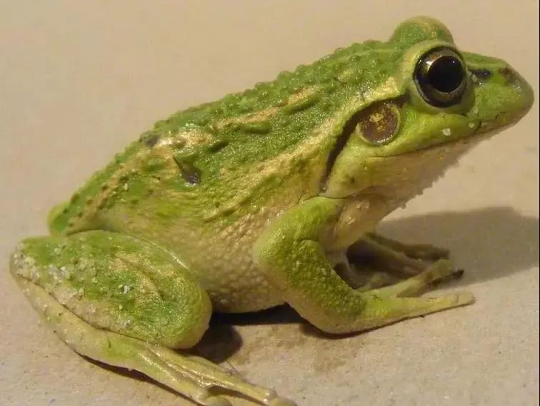 采访72岁年轻人,8090后的真实童年生活