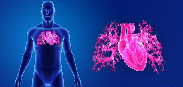 ecmo技术副作用,ecmo顶级医疗器材