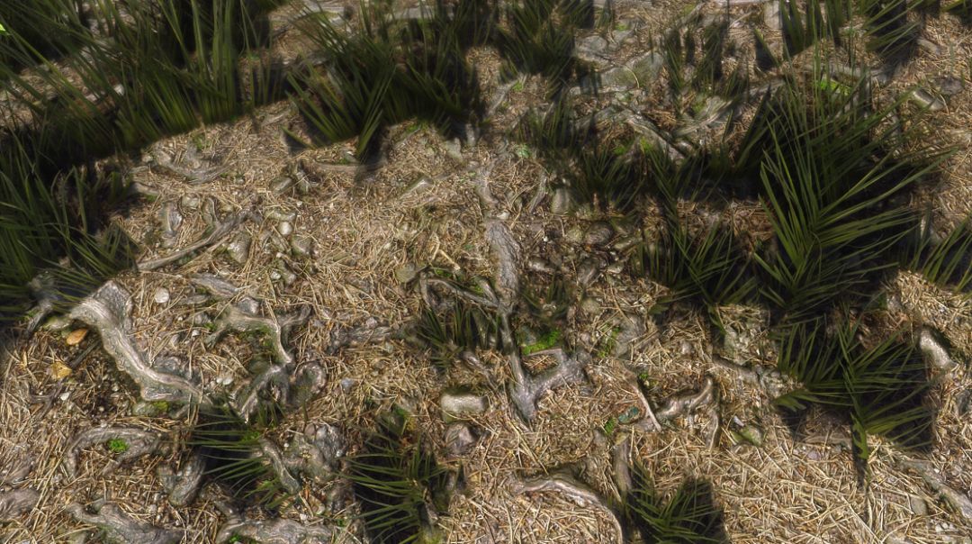 steam老滚5法术流,steam的老滚5十周年mod