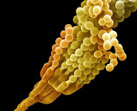 中国历史上伟大的发明,人类历史影响最大的十个发明