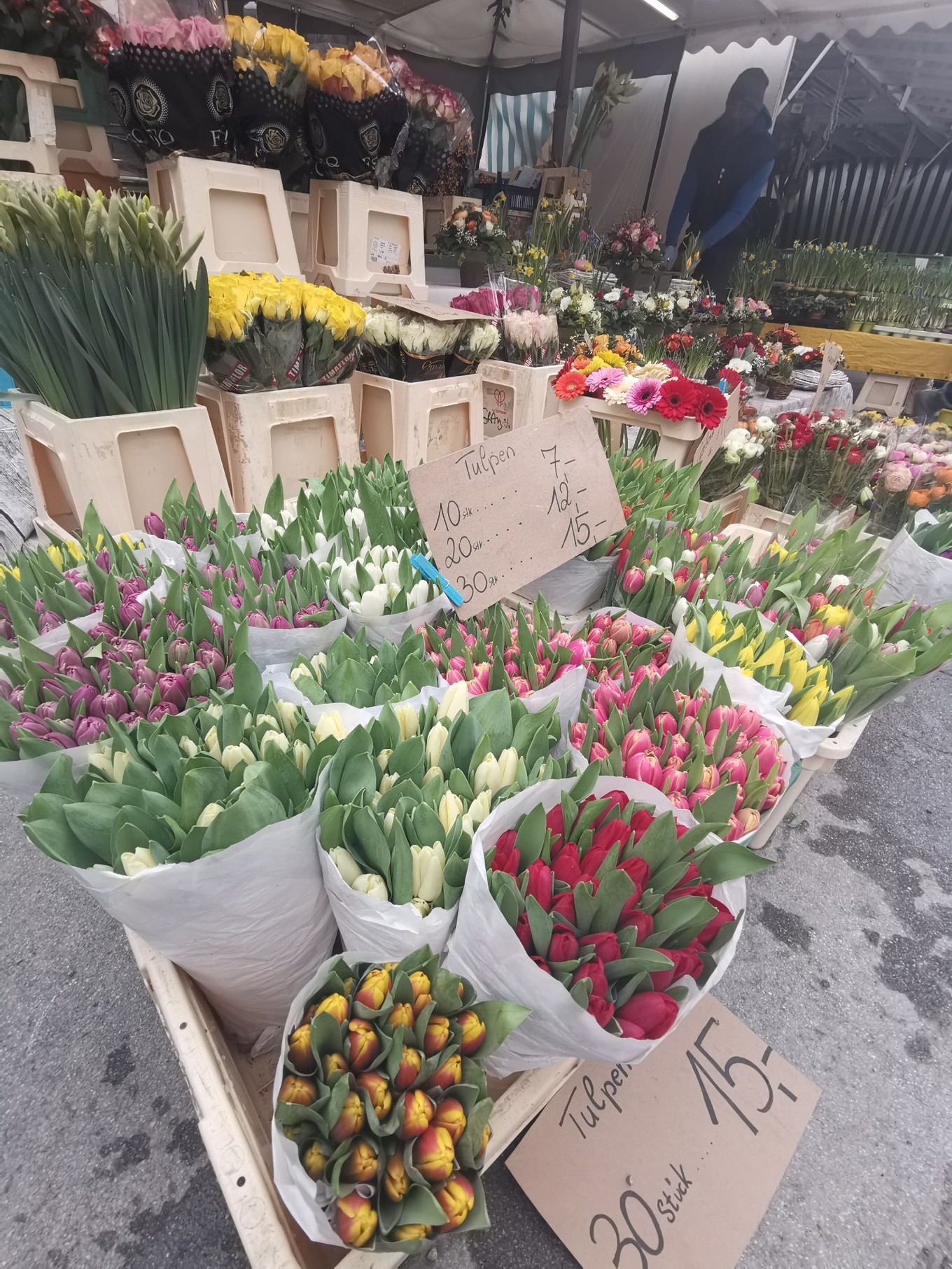 中欧五国自驾之旅跟随莫扎特的足迹品尝咖啡和巧克力