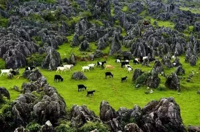 人间瑶池普者黑,丽江至普者黑自驾