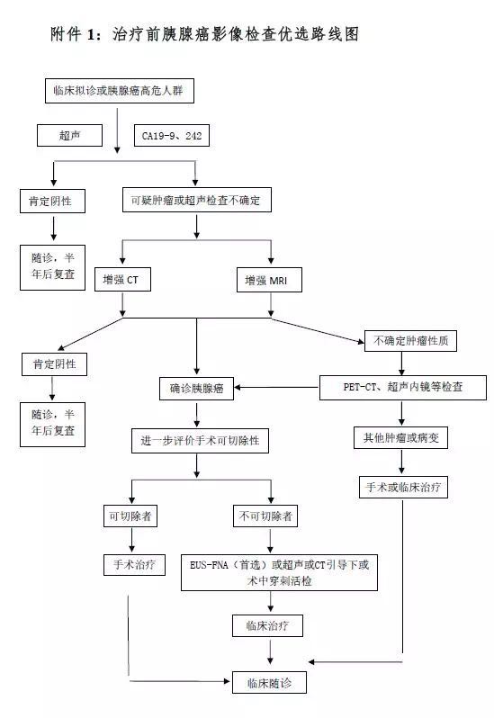 csco胰腺癌诊疗指南原文,胰腺癌诊疗规范2021