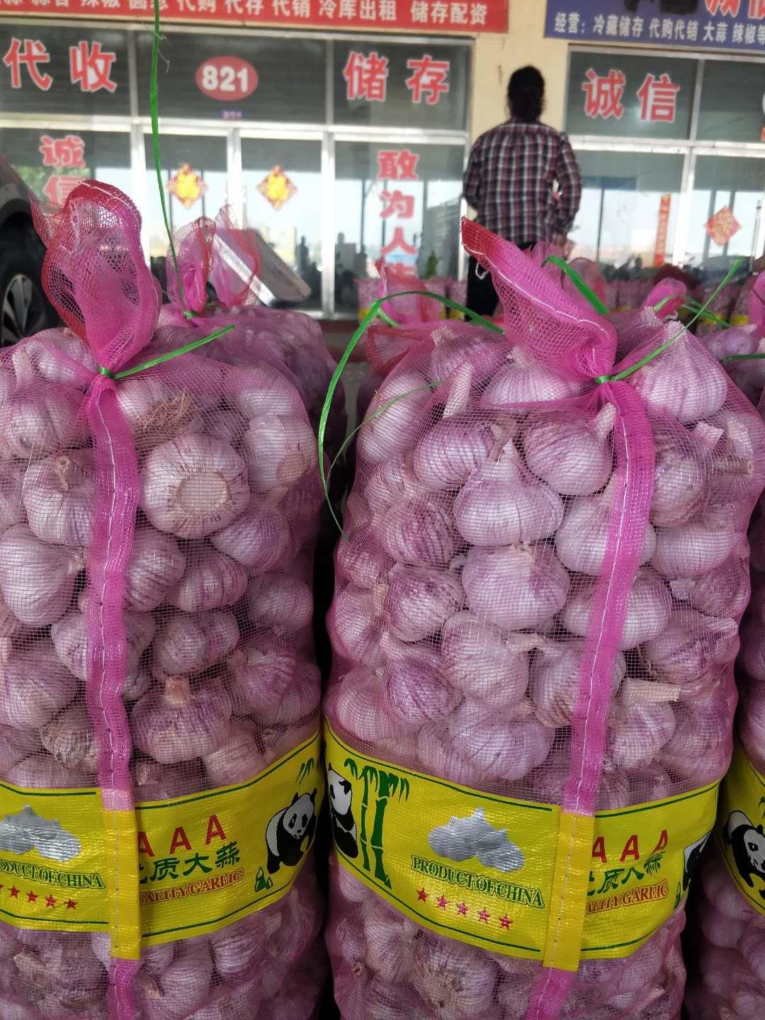 山东小伙初中毕业卖大蒜,没学历没背景,却能开公司年入千万