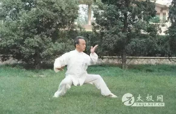 马虹讲拳理,马虹大师讲拳