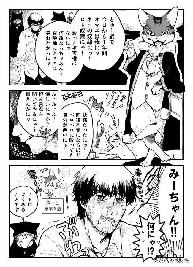 一个社畜的“猫咪经济学”真香定律