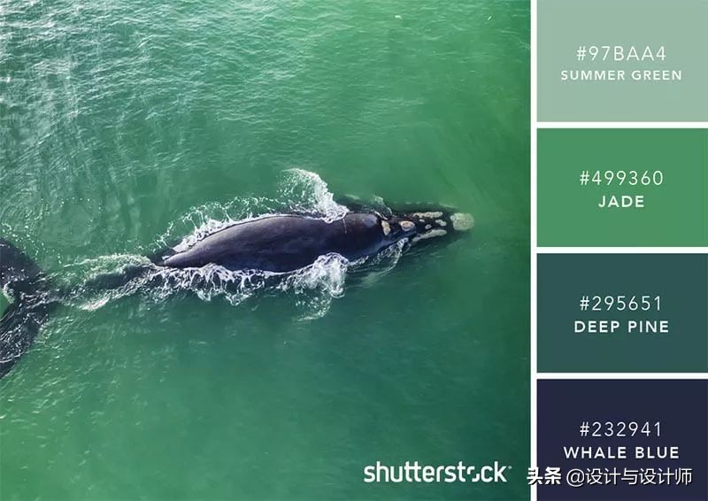 设计色彩总结200字左右,设计配色6种颜色