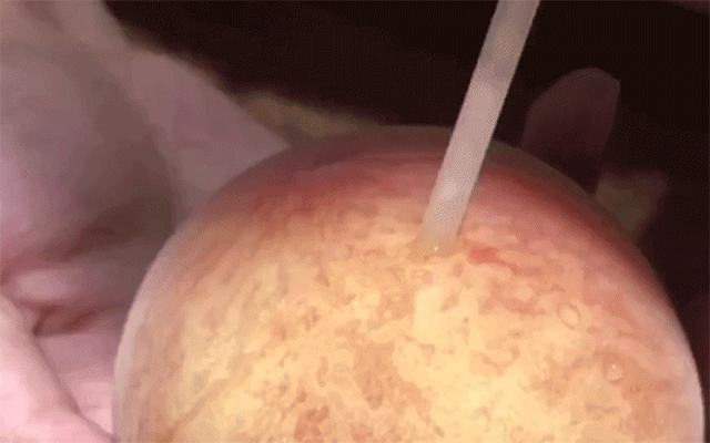 一桃难求!水蜜桃还可以吸着吃?一只能卖80元